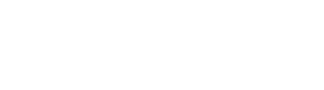 Paradigm logo white